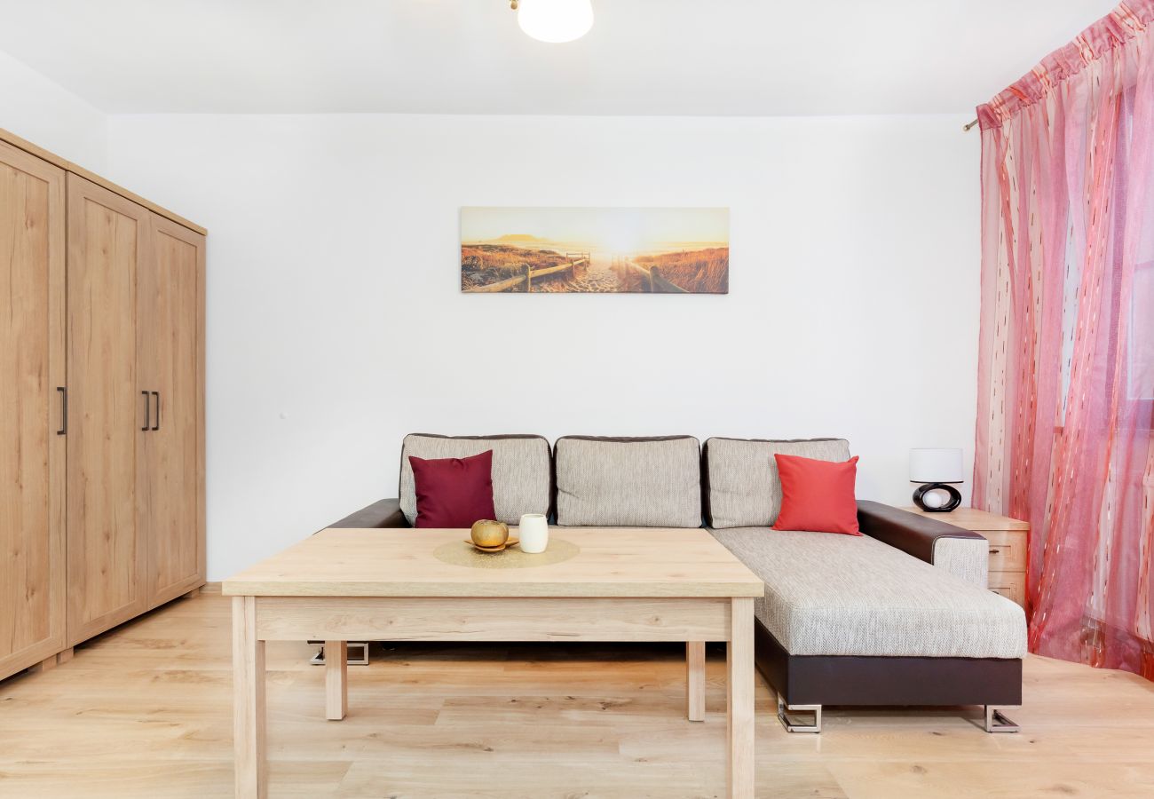 Wohnzimmer, Sofa, Couchtisch, Fernseher, Kleiderschrank, Spiegel, Essbereich, Esstisch, Stühle, Küchenzeile, Studio-Apartment, Interieur, Miete