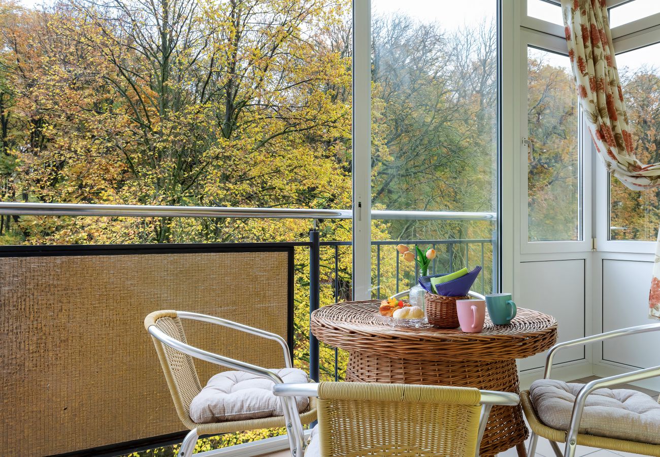 balkon, blick, blick vom balkon, parkblick, blick von der wohnung, sofa, tisch, stühle, wohnung, miete