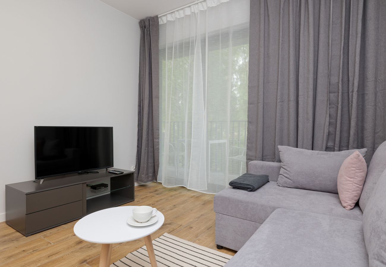 Wohnzimmer, Essbereich, Esstisch, Stühle, Kochnische, Sofa, Fernseher, Wohnung, Interieur, Miete