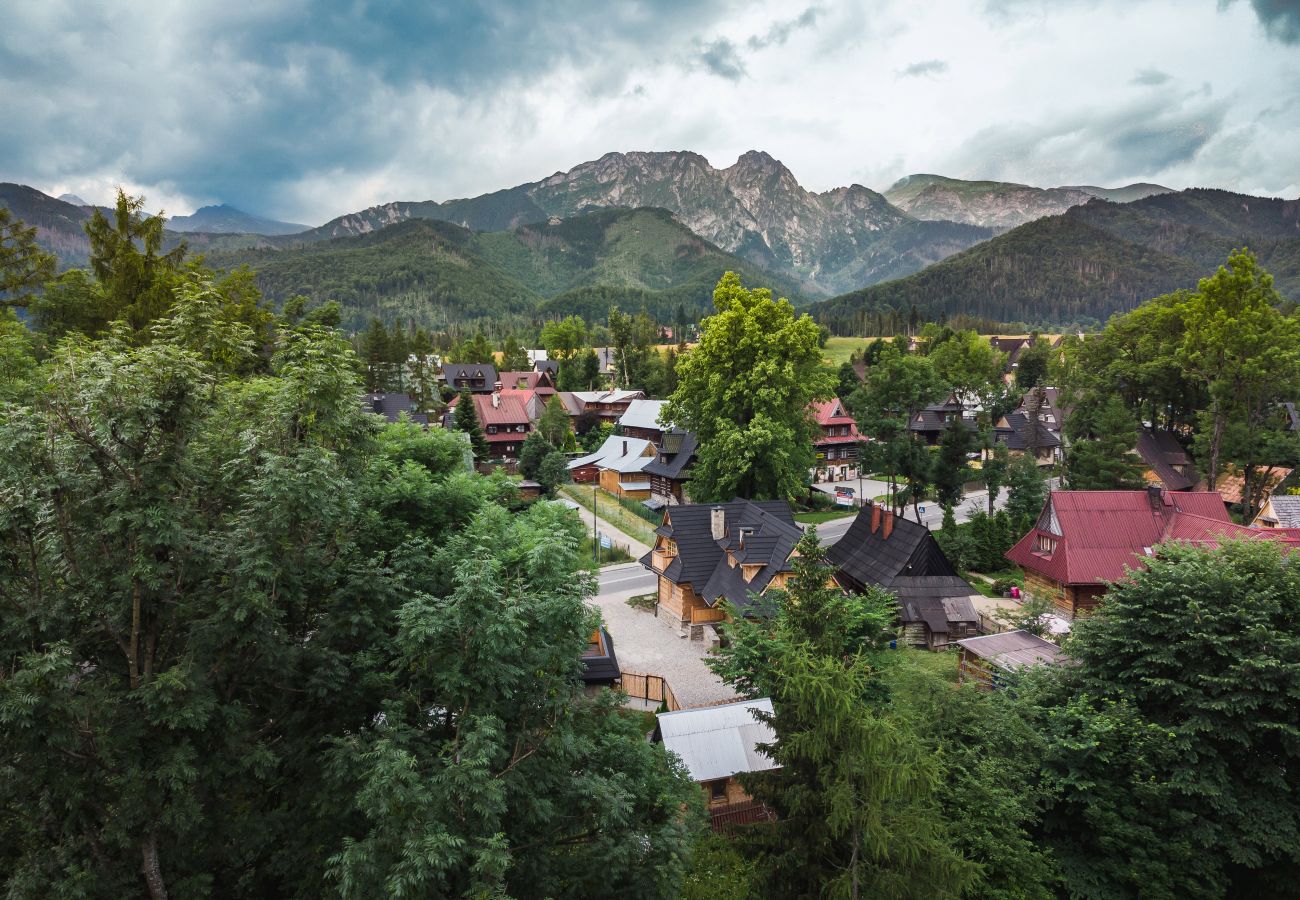 Ferienhaus in Zakopane - Exklusives Haus begraben mit 6 Schlafzimmern und Sauna, Zakopane