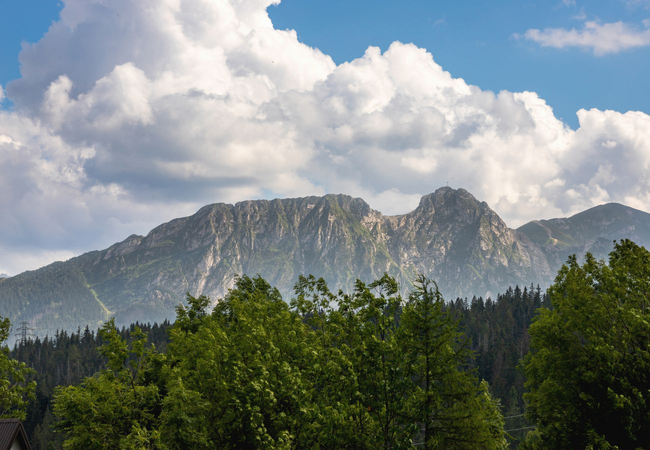 Ferienwohnung in Zakopane - Osada Słodyczkowy (Gubałówka) - Apartment mit 1 Schlafzimmer und Parkplatz Zakopane