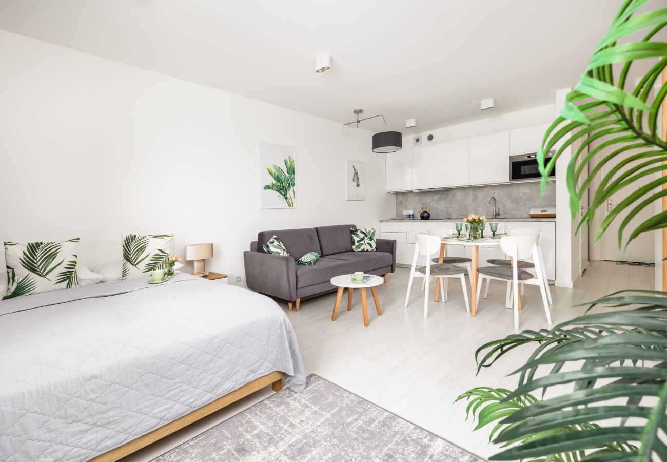 Studio in Rogowo - Rogowo Pearl 3210 Ferienwohnung mit Klimaanlage