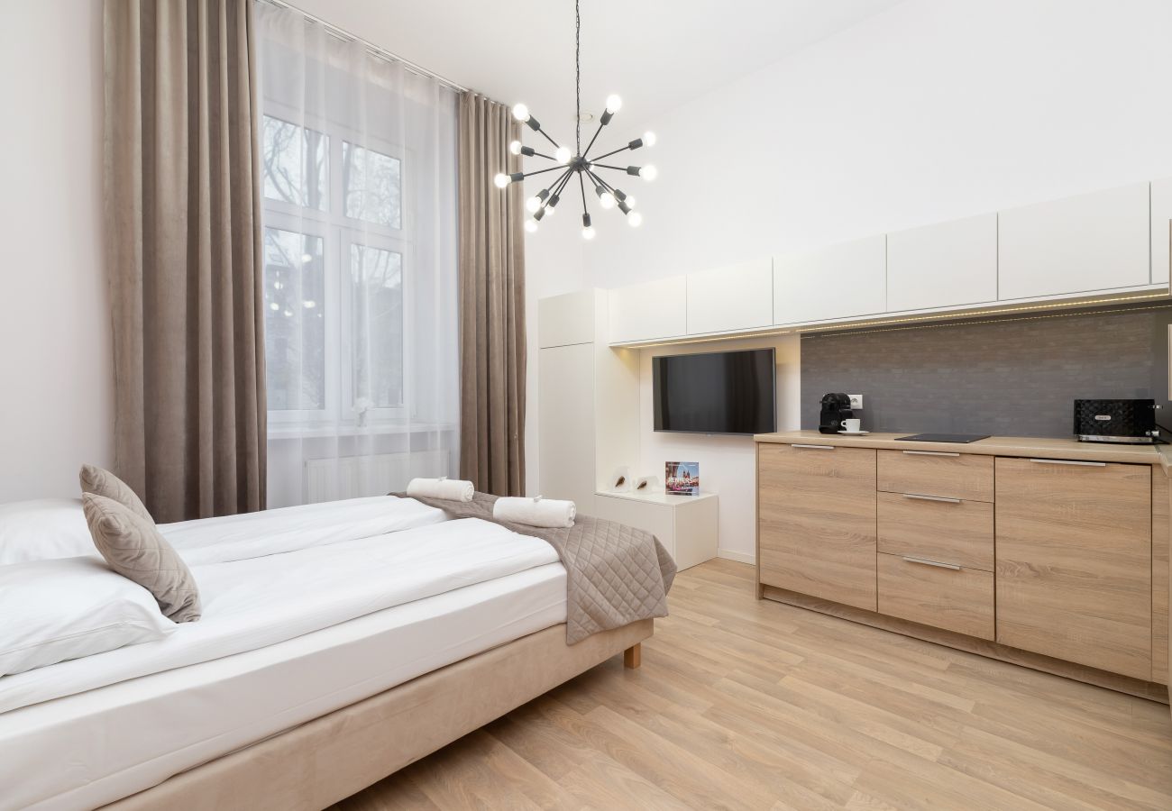 Studio in Kraków - Dietla 66/3 | Wifi, Pet-friendly, Studio 