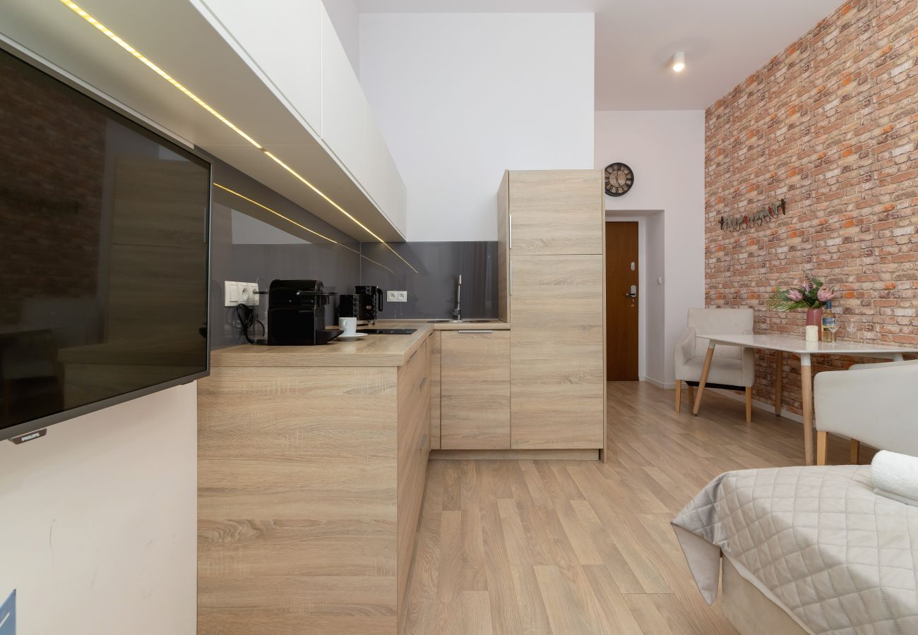 Studio in Kraków - Dietla 66/3 | Wifi, Pet-friendly, Studio 