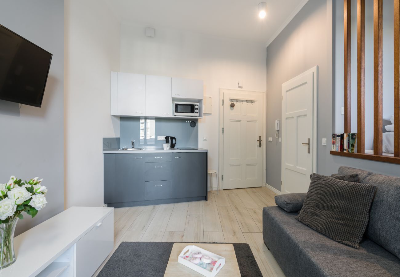 Studio in Poznań - Św. Wojciecha 30/3A, Studio, Pet-Friendly