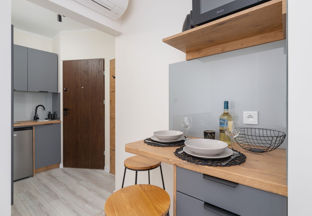 Studio in Kraków - Rakowicka 14, Studio, Pet-Friendly, Klimatisierung