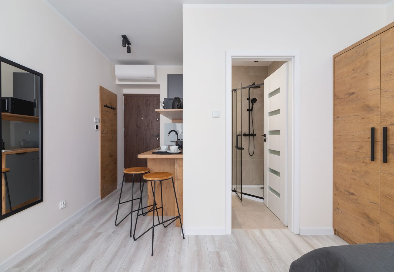 Studio in Kraków - Rakowicka 14, Studio, Klimatisierung, Pet-Friendly