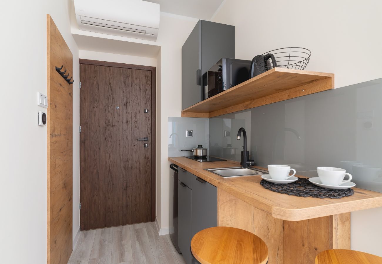 Studio in Kraków - Rakowicka 14, Studio, Klimatisierung, Pet-Friendly