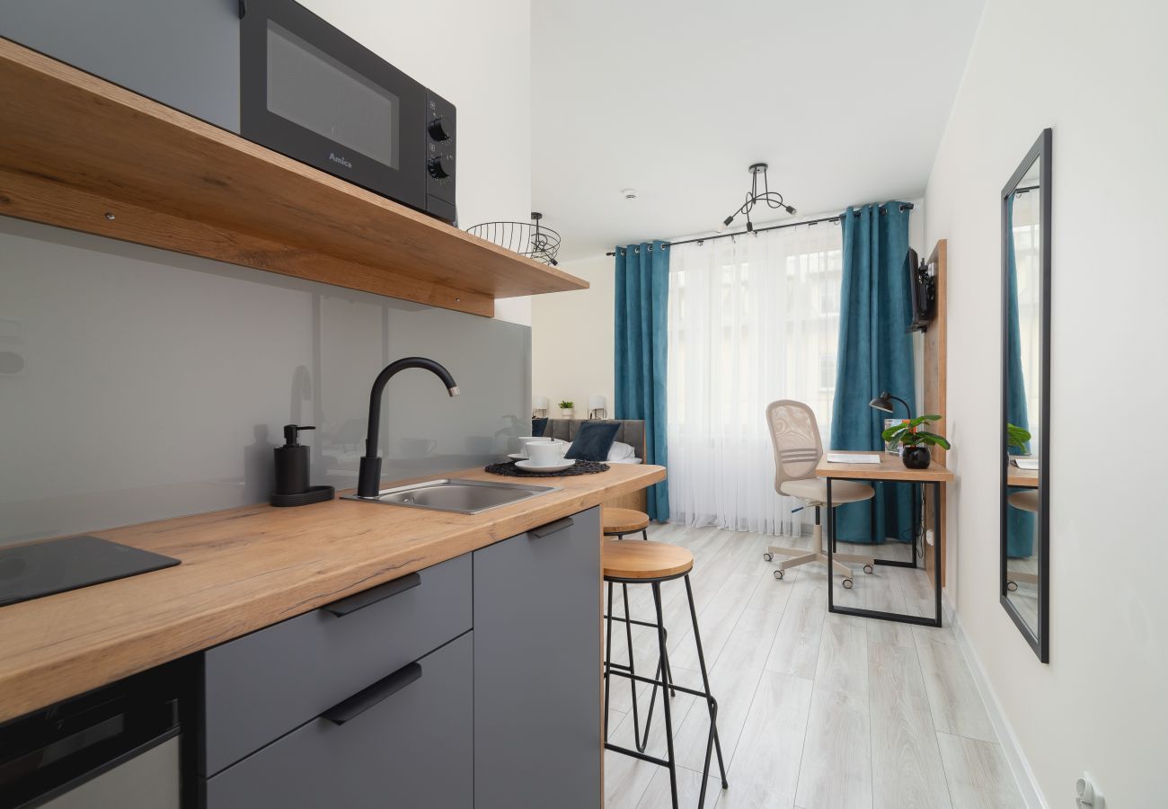 Studio in Kraków - Rakowicka 14, Studio, Klimatisierung, Pet-Friendly