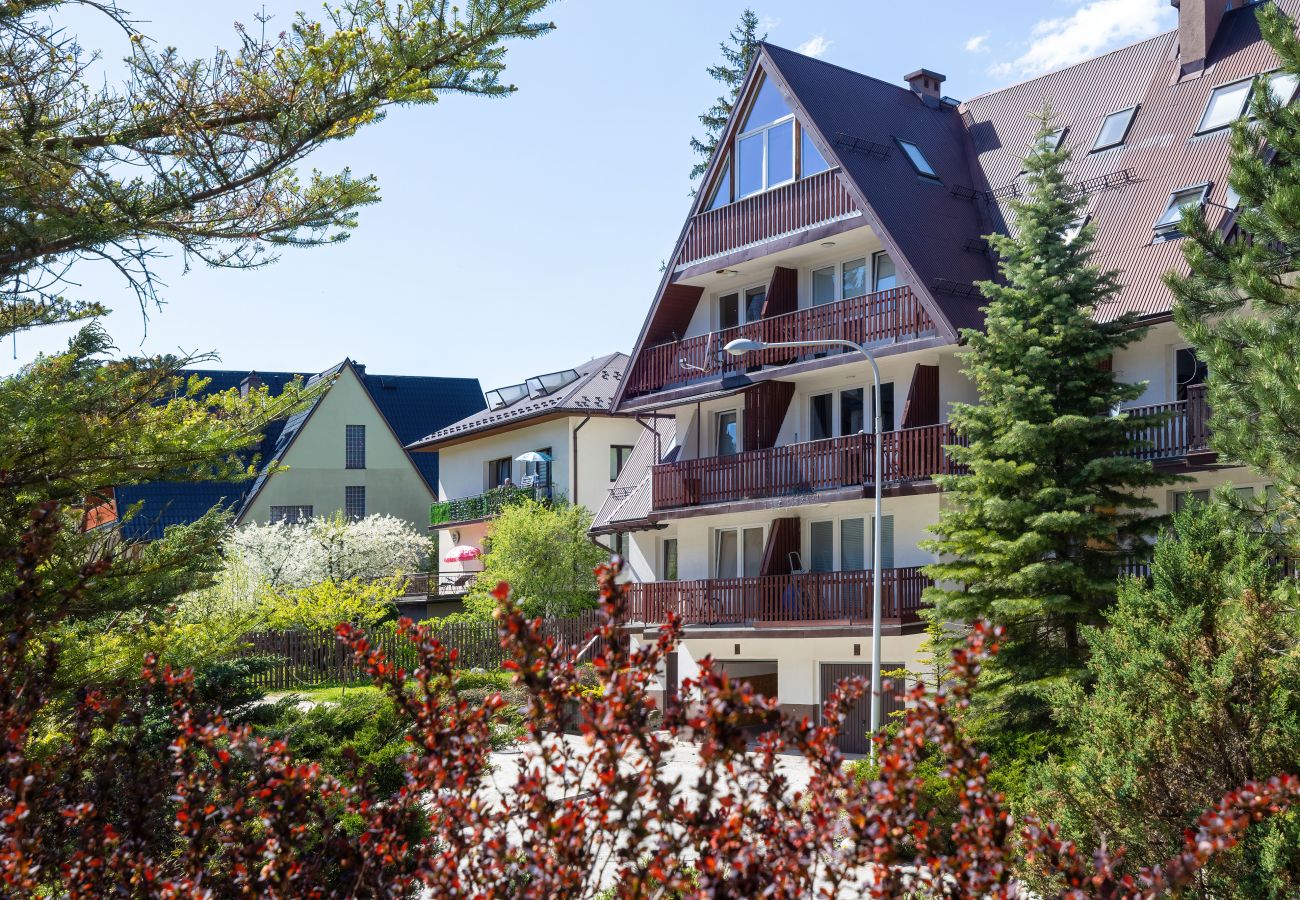 Studio in Zakopane - Studio für 4 Personen mit Parkplatz in Zakopane 