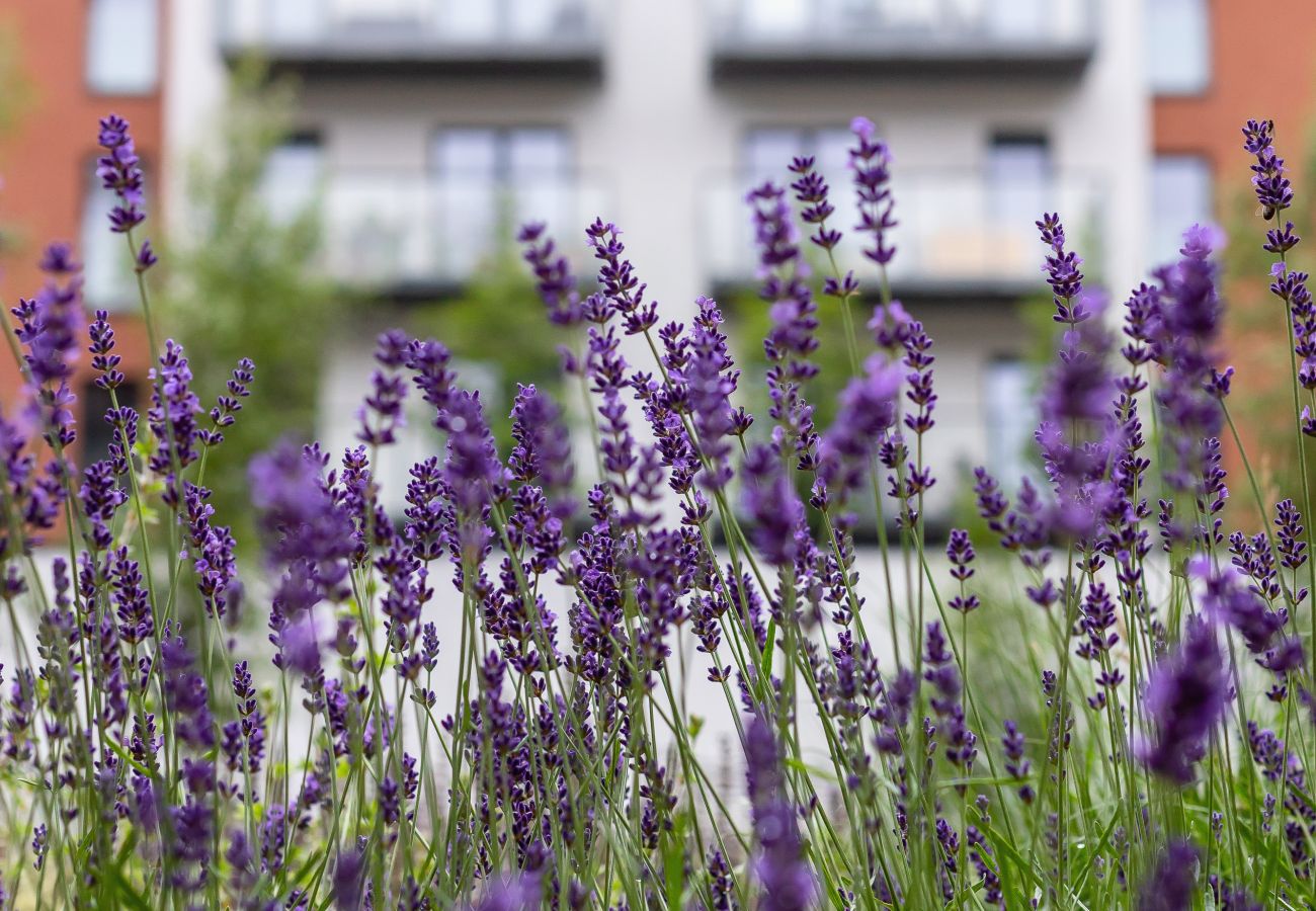 Ferienwohnung in Kraków - Klimeckiego 8A | Wifi, Haustierfreundlich, 1 Schlafzimmer, Balkon, Krakau