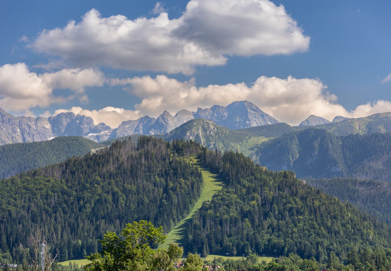 Ferienwohnung in Zakopane - Salwatoriańska 28A/2- Prestige mit Balkon und Parkplatz