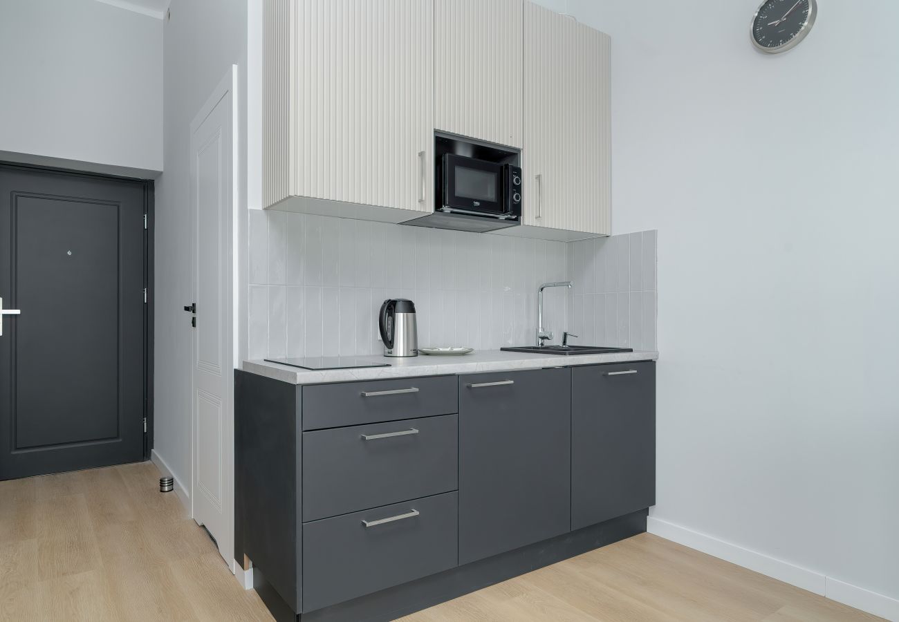 Studio in Poznań - Śniadeckich 20 | Stylish Grey Studio | 2 Personen | Poznań