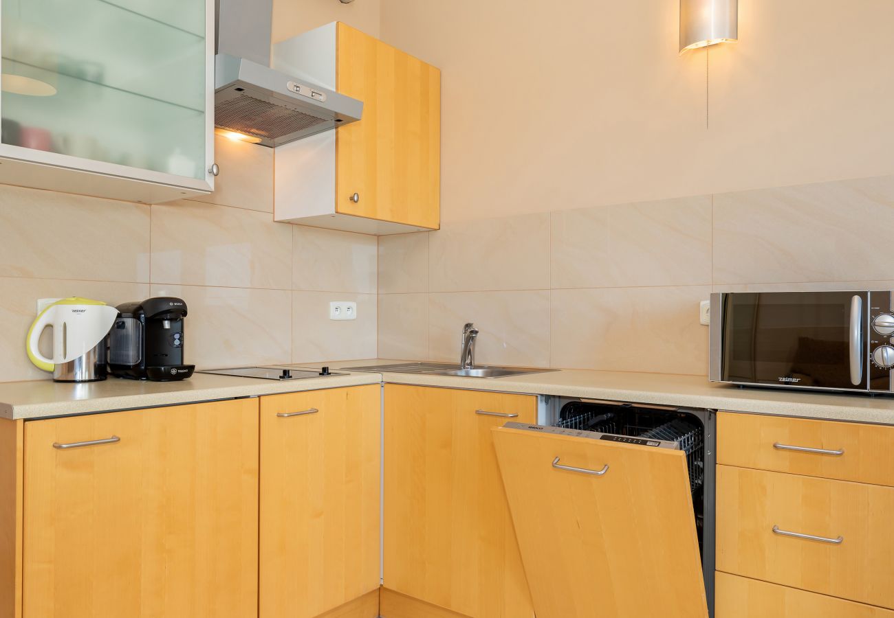 kitchen, kitchenette, stove, dishwasher, microwave, coffee machine, kettle, sink, cupboards, rent