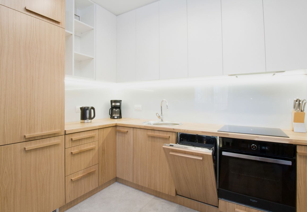 kitchen, kitchenette, stove, oven, fridge, coffee machine, kettle, sink, cupboards, dishwasher, apartment, interior, rent