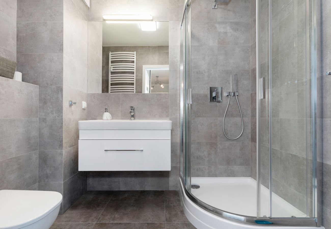 bathroom, shower, sink, mirror, toilet, interior, apartment, rent