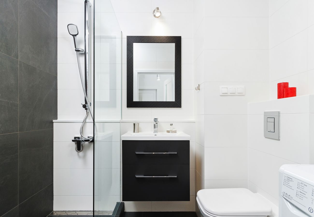 bathroom, shower, sink, mirror, toilet, washing machine, apartment, interior, rent