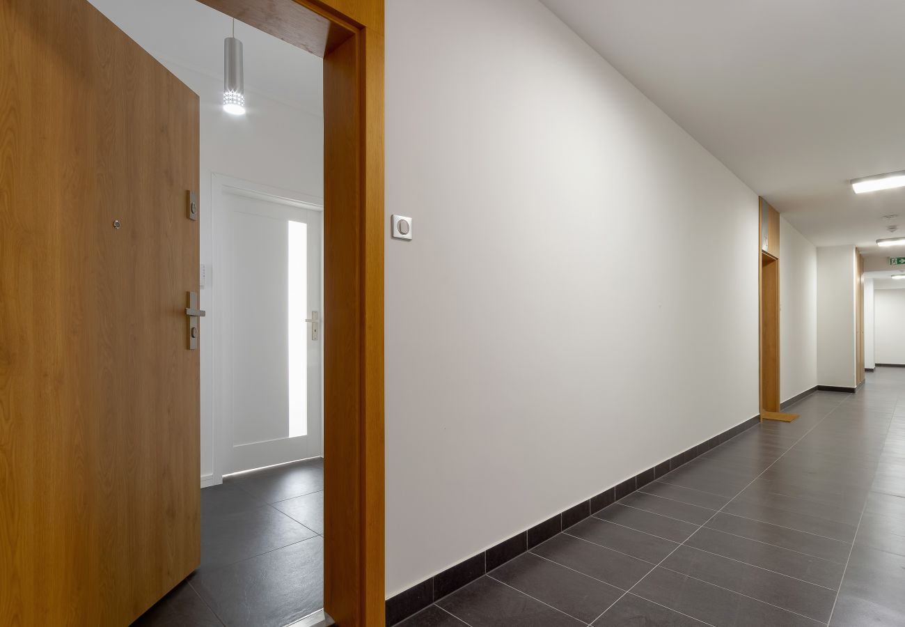 interior, apartment, apartment building interior, corridor, apartment building, rent