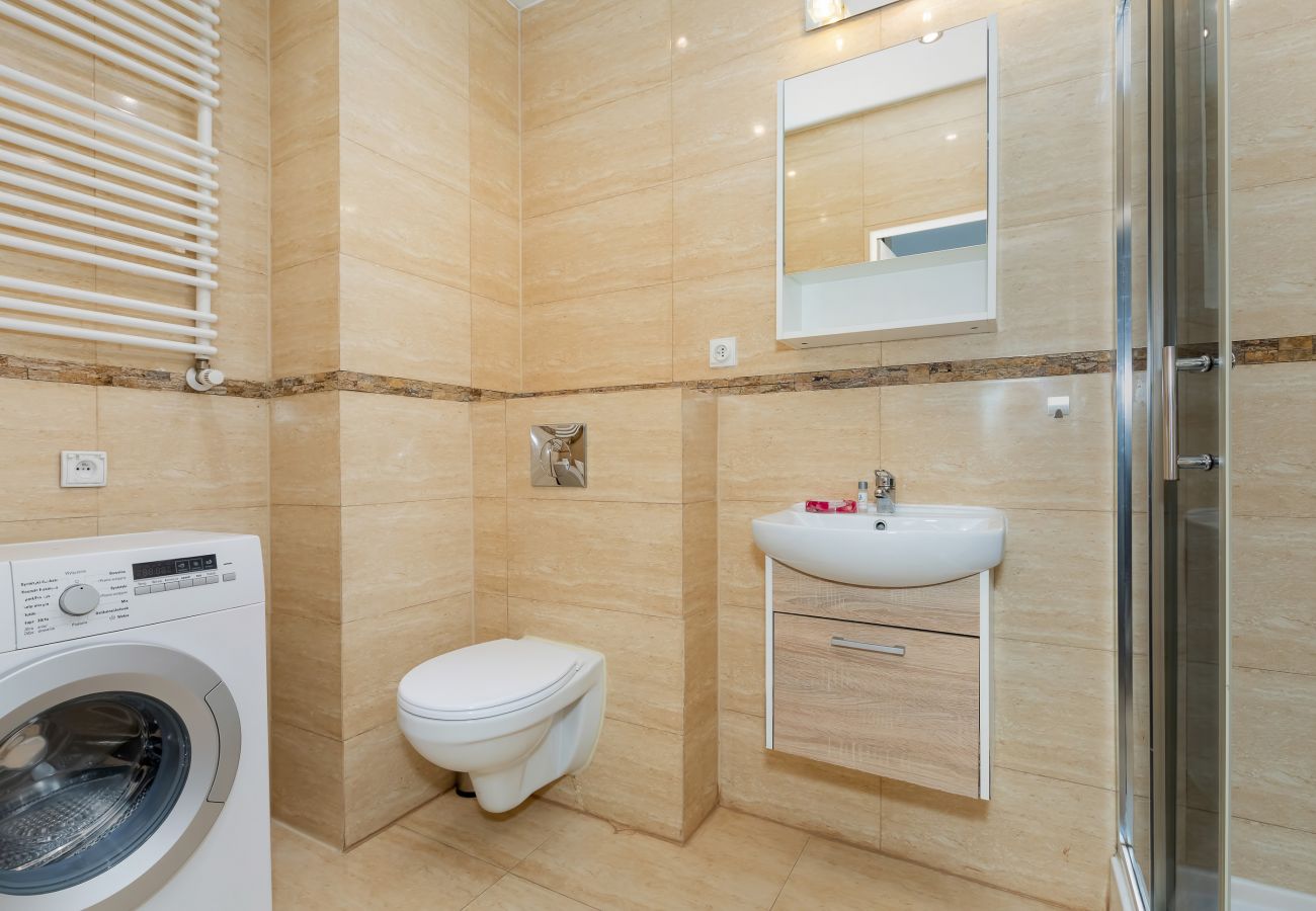 bathroom, shower, sink, toilet, mirror, washing machine, toilet, rent, apartment, interior