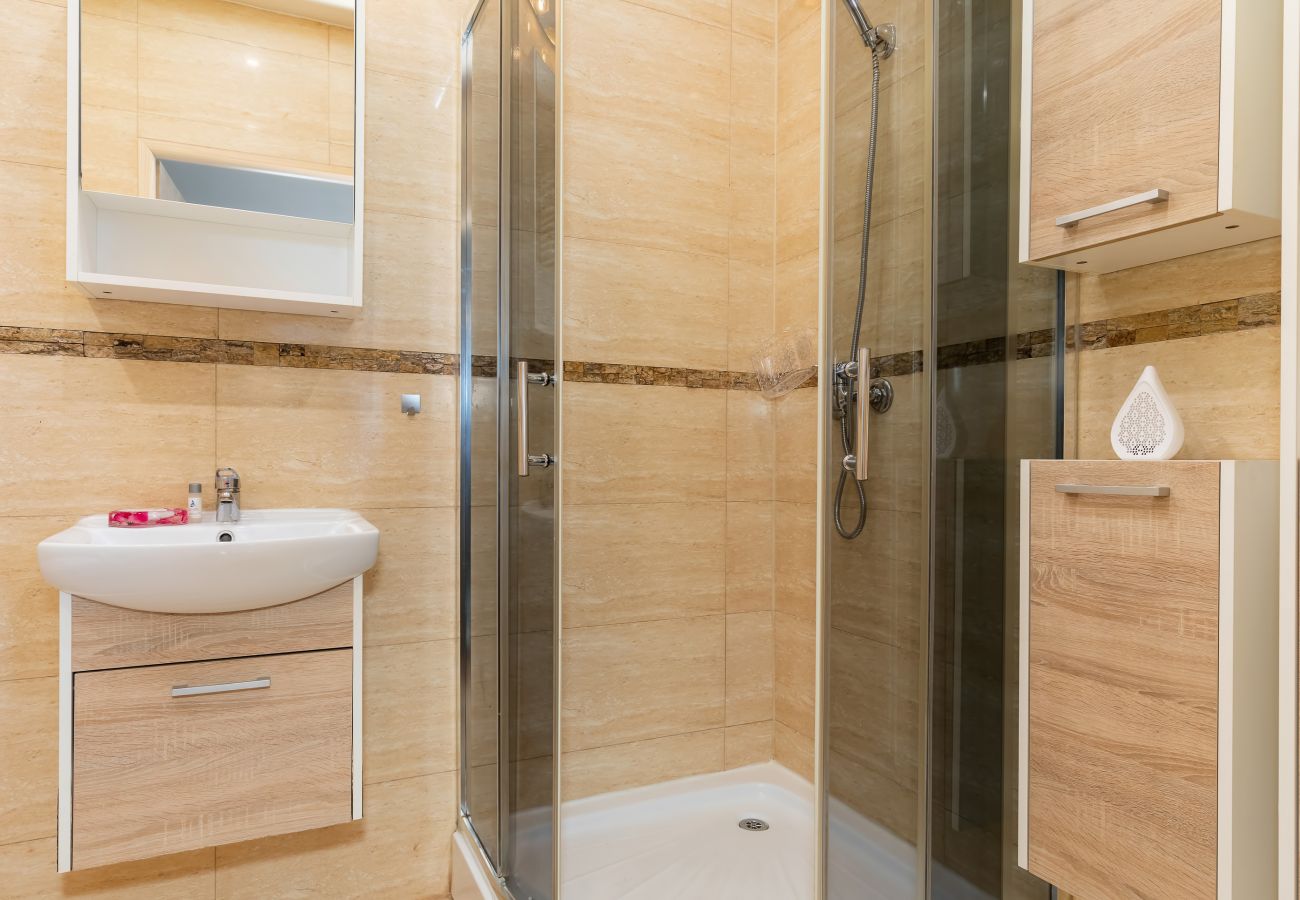 bathroom, shower, sink, toilet, mirror, washing machine, toilet, rent, apartment, interior