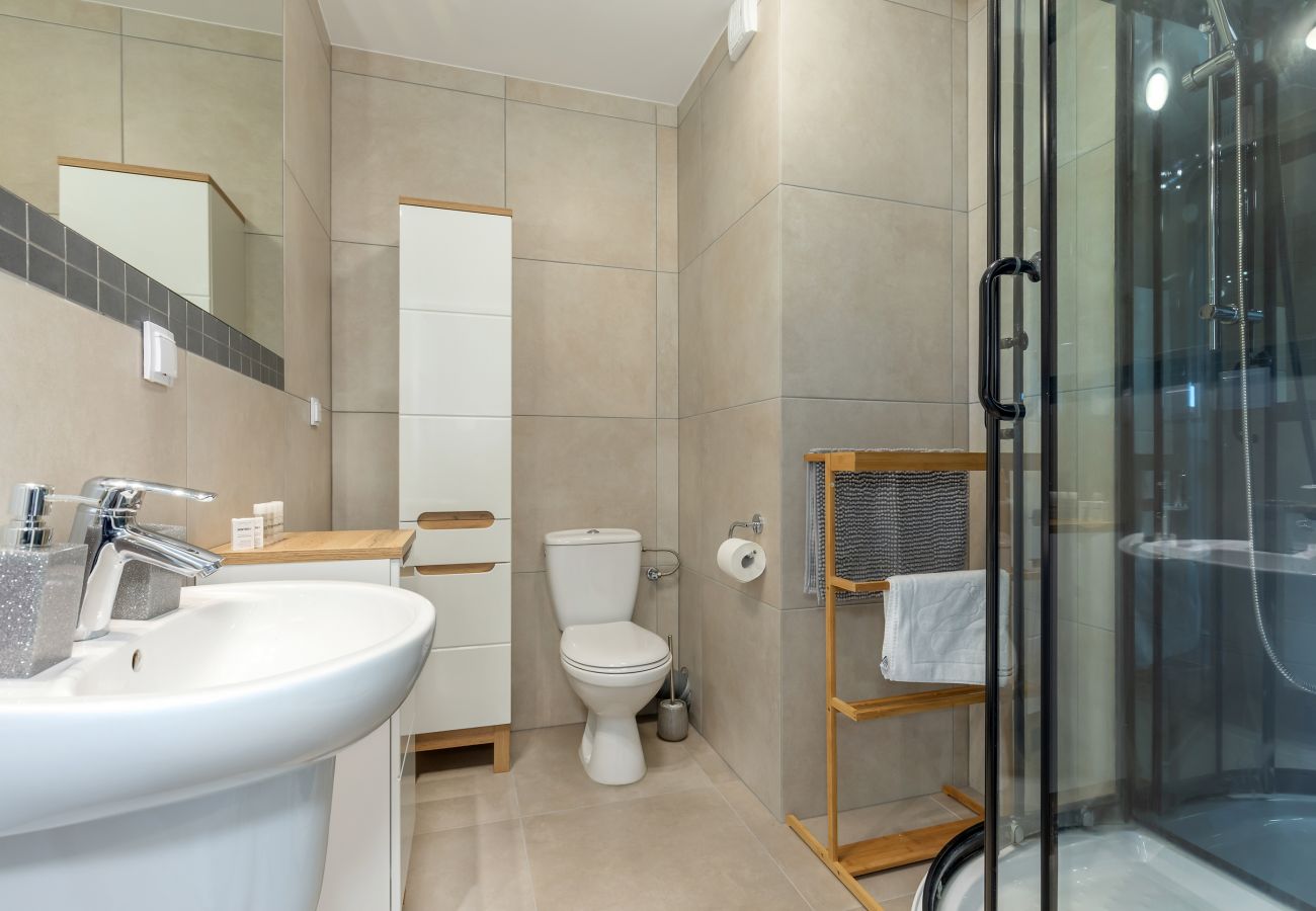 bathroom, shower, sink, toilet, mirror, bathroom cabinet, apartment, interior, rent