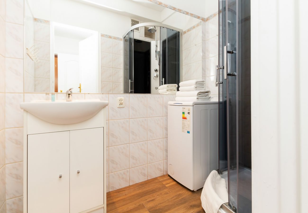 bathroom, shower, sink, mirror, washing machine, towels, studio, interior, rent