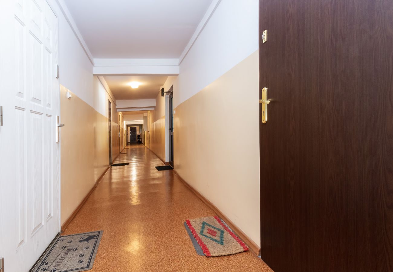 interior, studio, apartment building, apartment building interior, corridor, studio entrance, rent