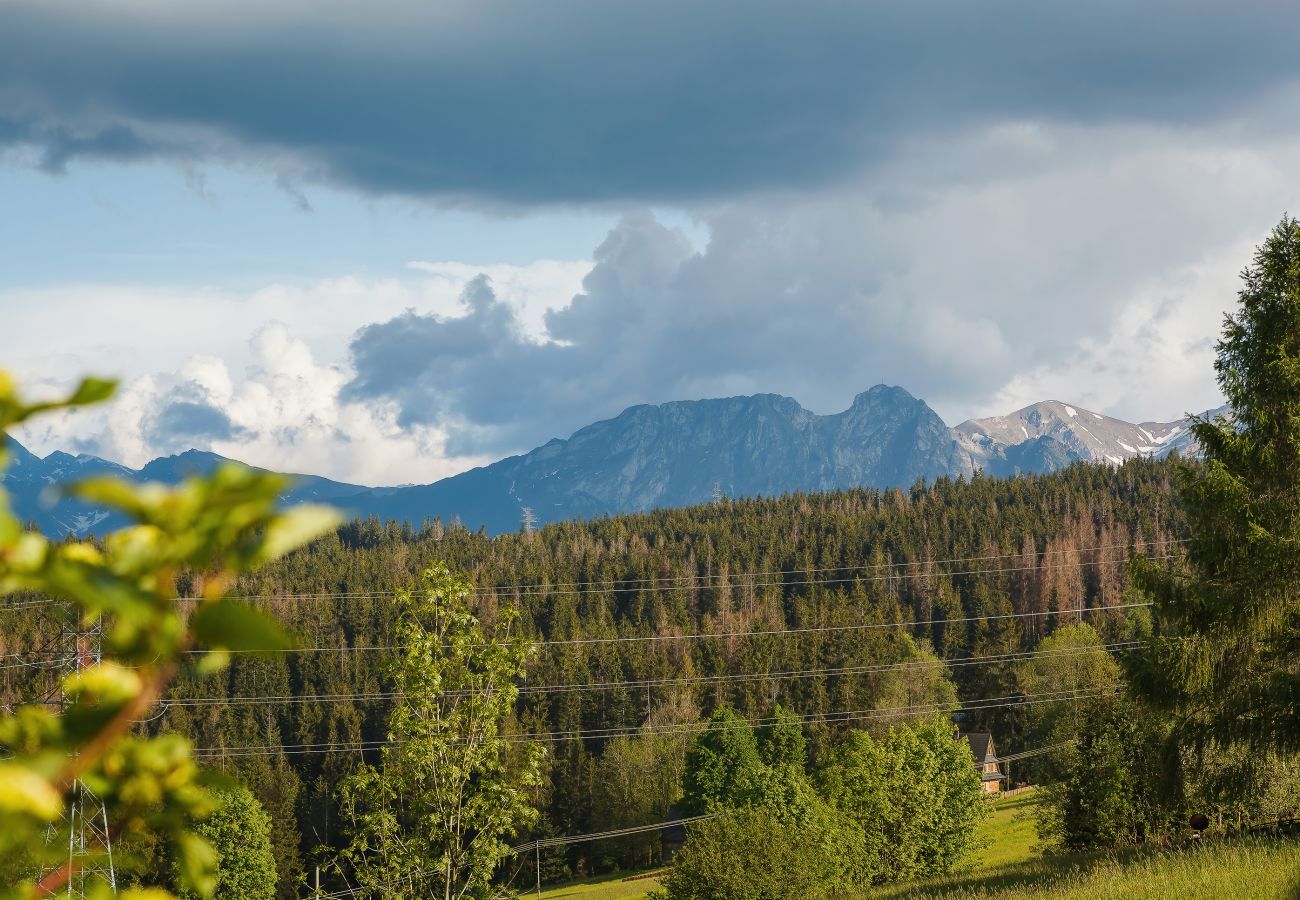 view, view from apartment, mountain view, forest view, apartment, apartment exterior, rent