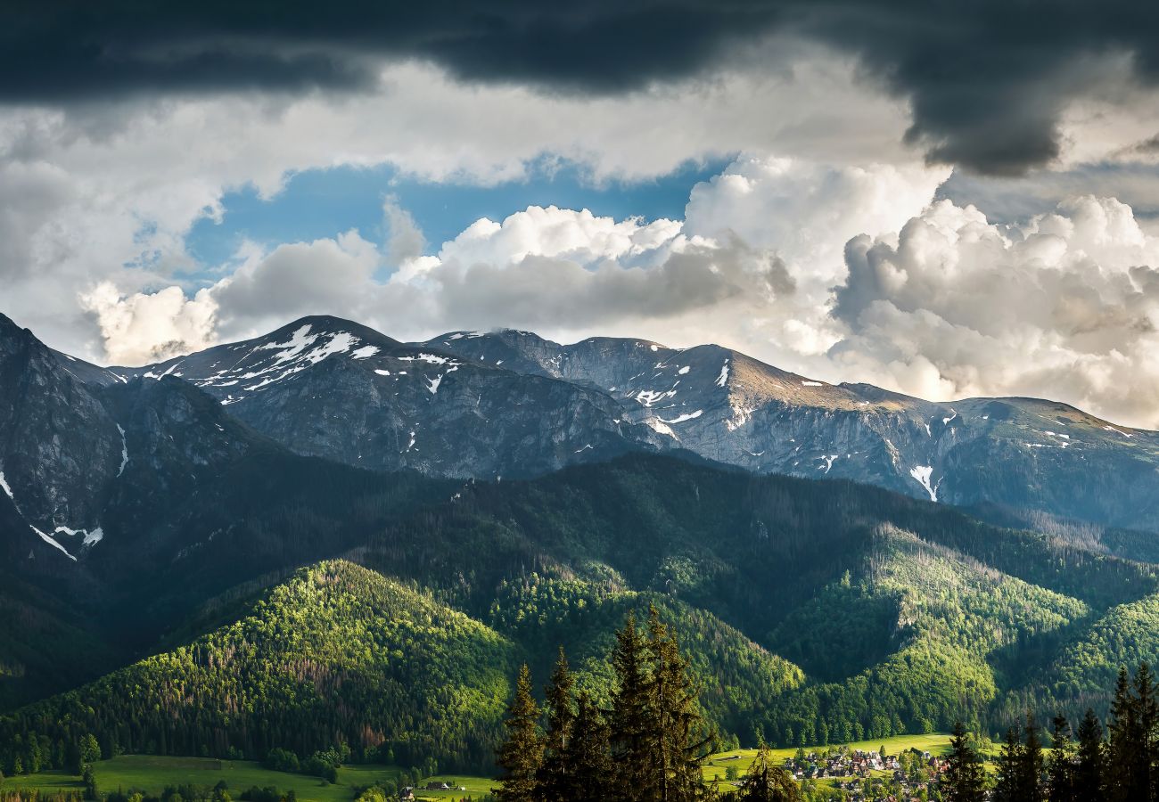 view, view from apartment, mountain view, forest view, apartment, apartment exterior, rent