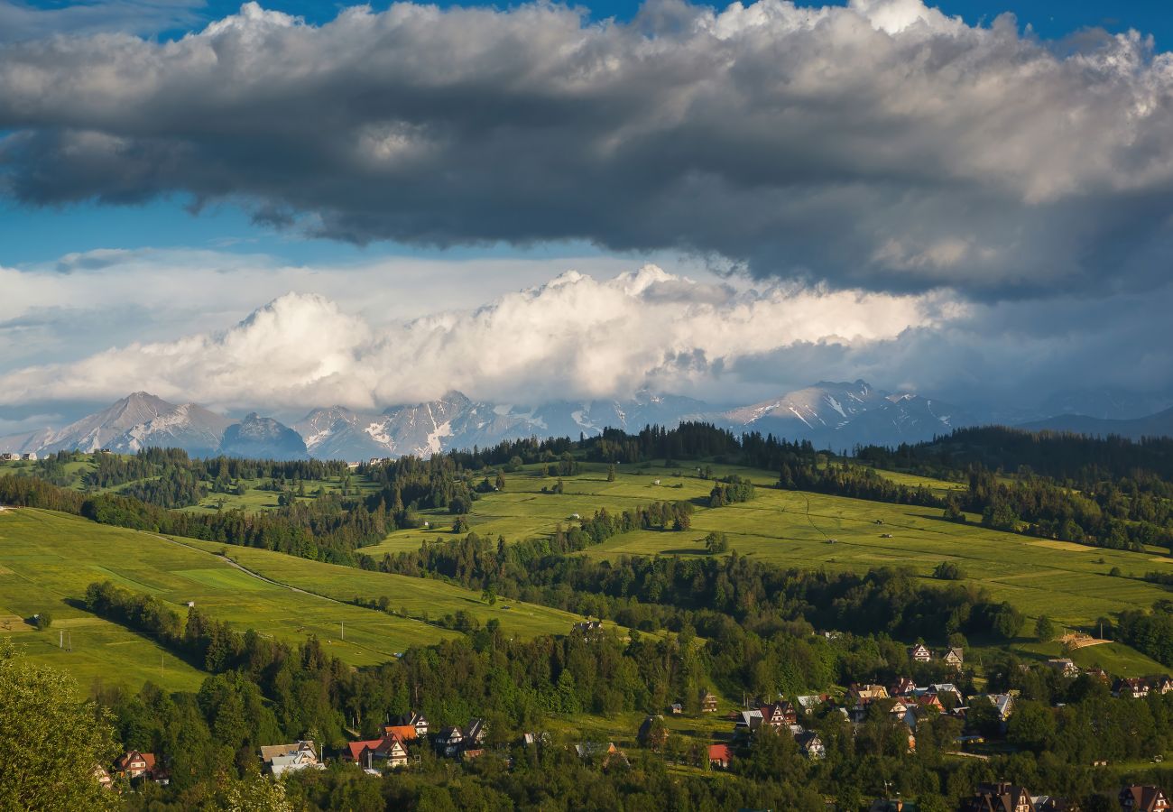 view, view from apartment, mountain view, forest view, apartment, apartment exterior, rent