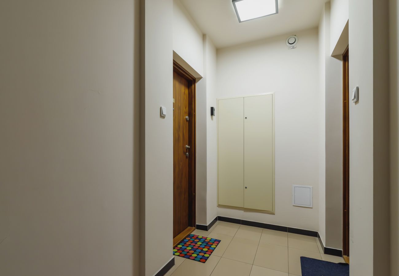 interior, apartment, apartment building, apartment building interior, corridor, rent