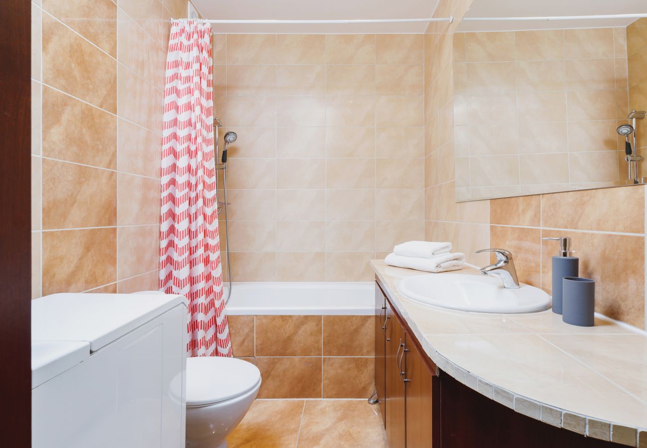 bathroom, bathtub, sink, toilet, mirror, washing machine, towels, apartment, interior, rent