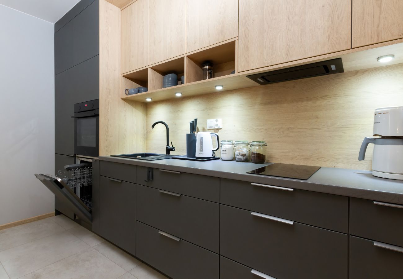 kitchen, kitchenette, fridge, kettle, induction hob, oven, dishwasher, coffee maker, toaster, cupboards, apartment, interior, rent