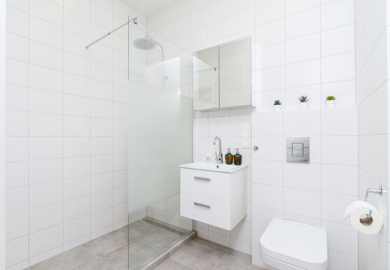 bathroom, shower, sink, toilet, mirror, washing machine, towels, apartment, interior, rent