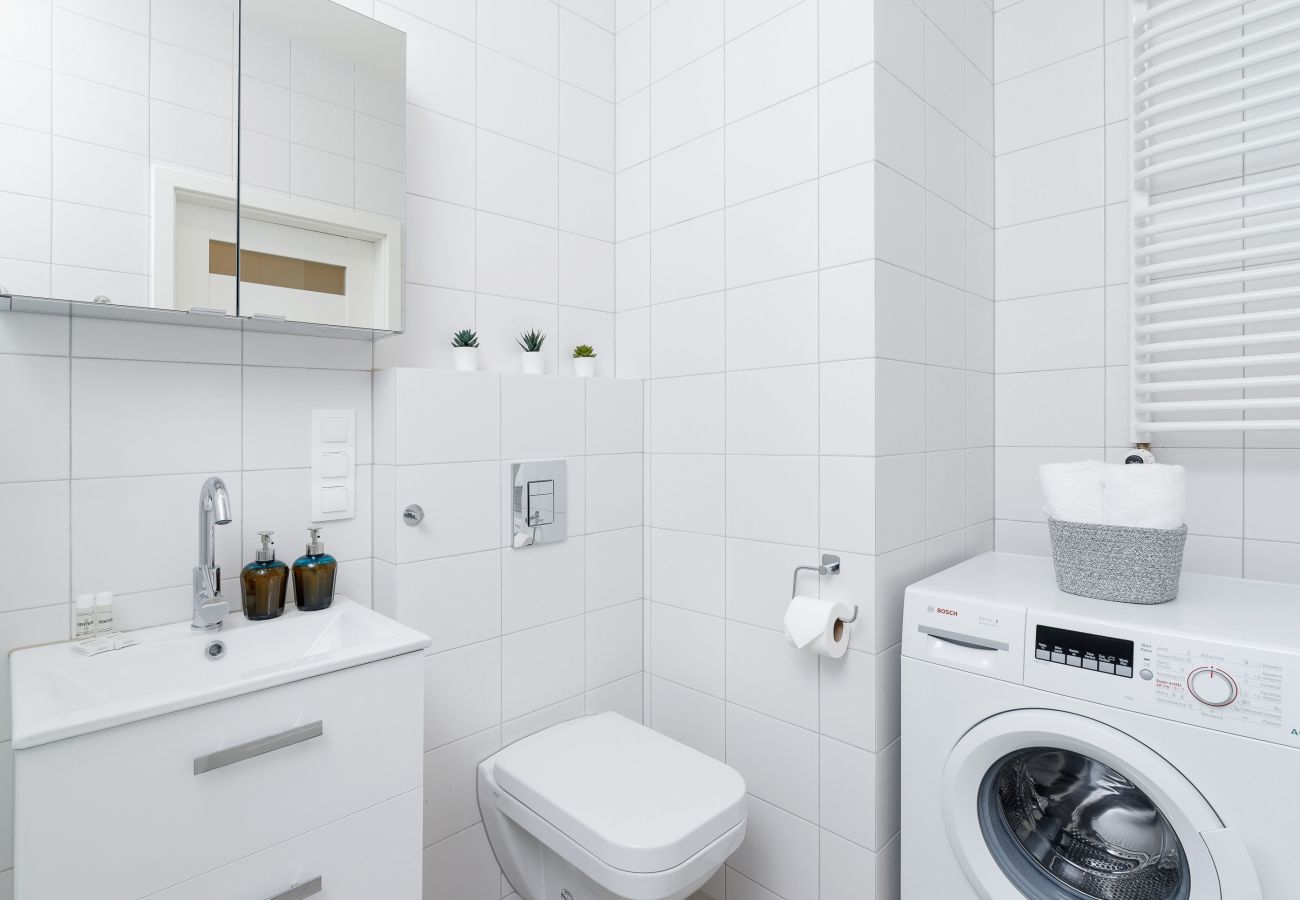 bathroom, shower, sink, toilet, mirror, washing machine, towels, apartment, interior, rent