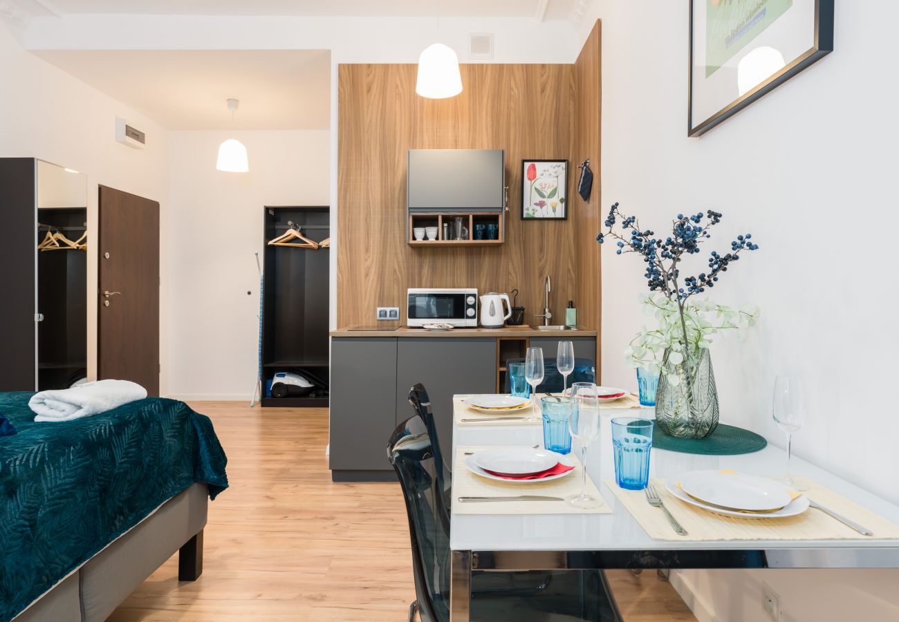 Studio in Poznań - Kwiatowa 6 | Wifi, Pet-friendly, Studio for 3 Guests, Poznan