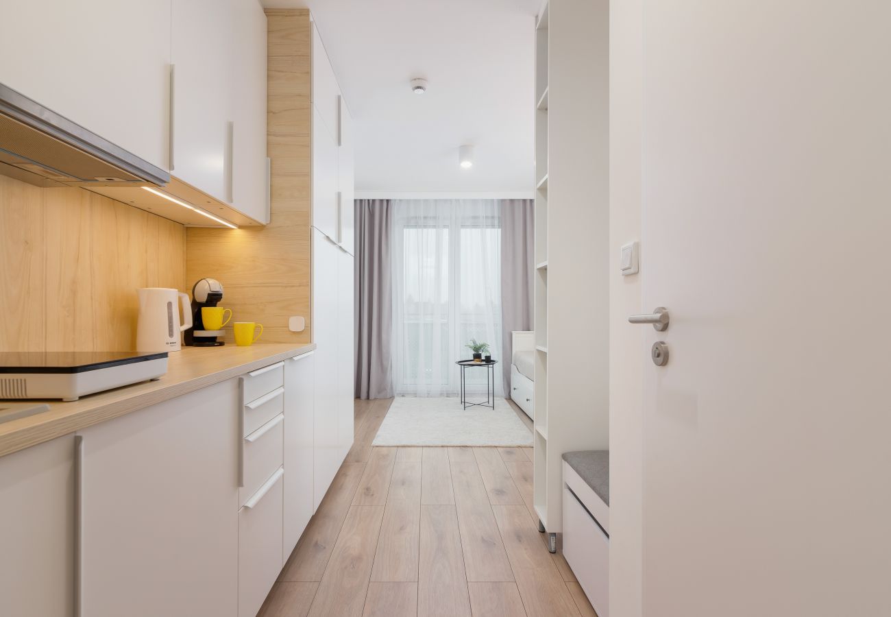 Studio in Kraków - Pet-Friendly Studio Goszczyńskiego, Kraków