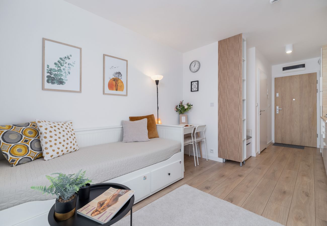 Studio in Kraków - Pet-Friendly Studio Goszczyńskiego, Kraków