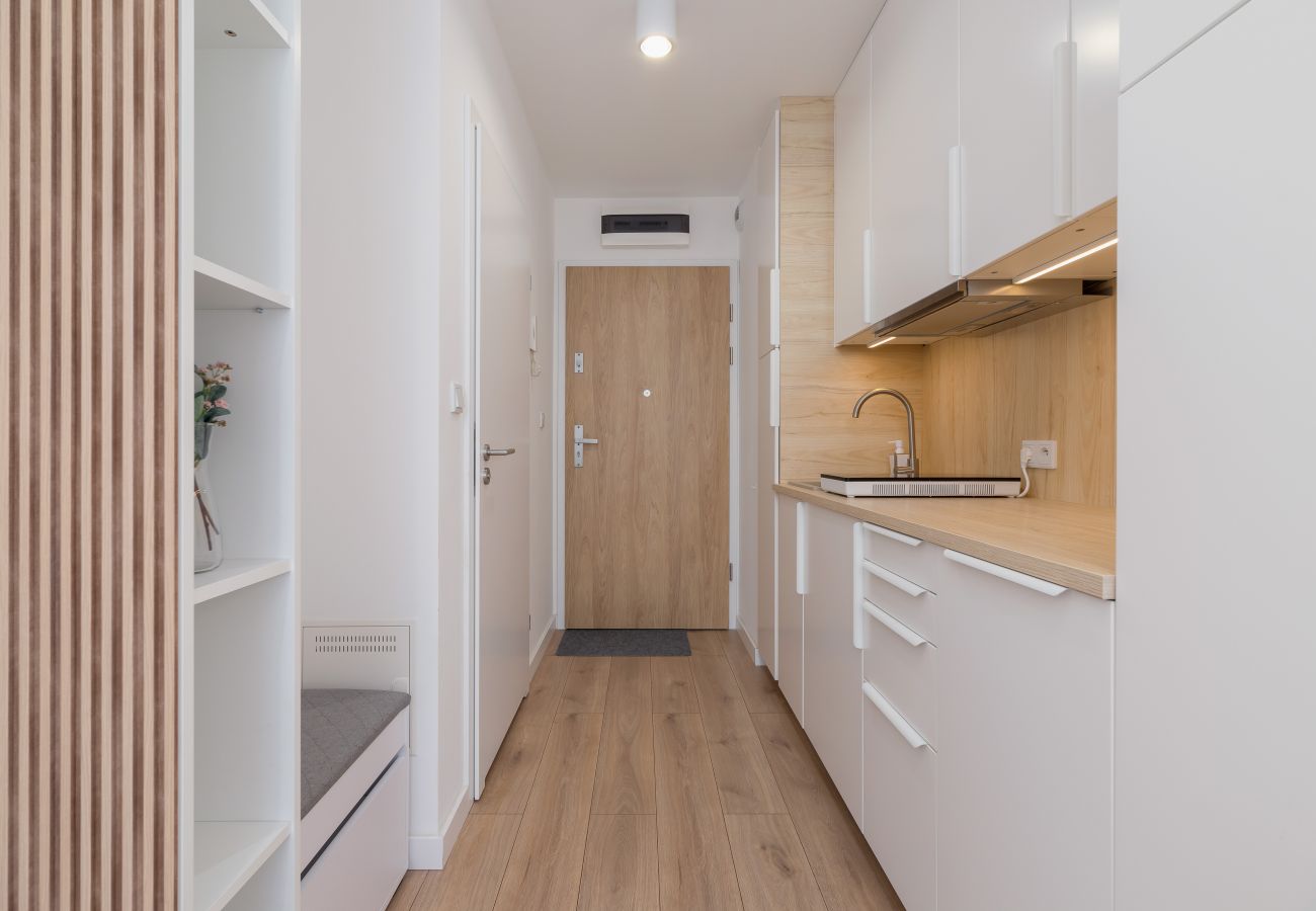 Studio in Kraków - Pet-Friendly Studio Goszczyńskiego, Kraków