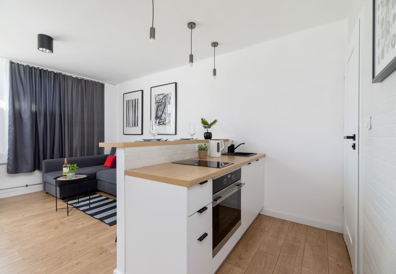 Studio in Kraków - Skarbińskiego 2 | Studio Pet-Friendly