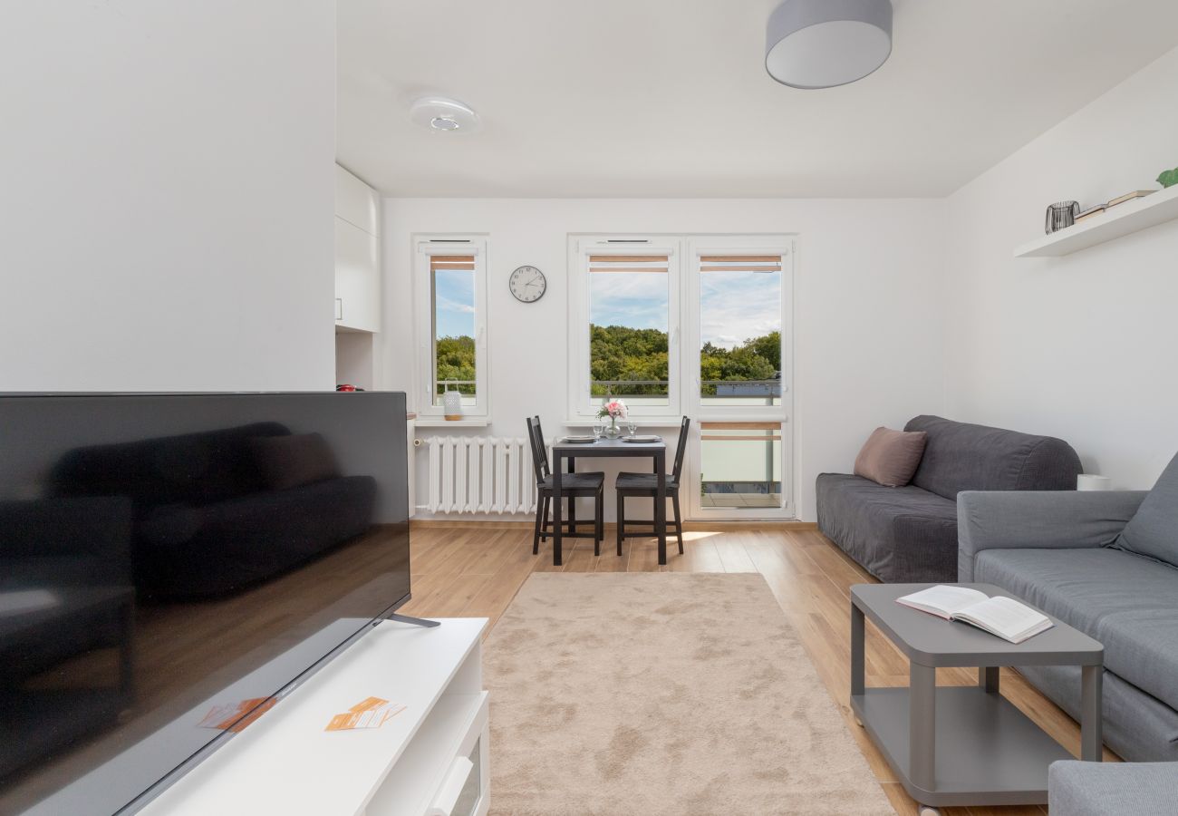 Studio in Gdynia - Norwida 4 | Wifi, Pet-friendly, Studio for 4 guests, Balcony, Gdynia