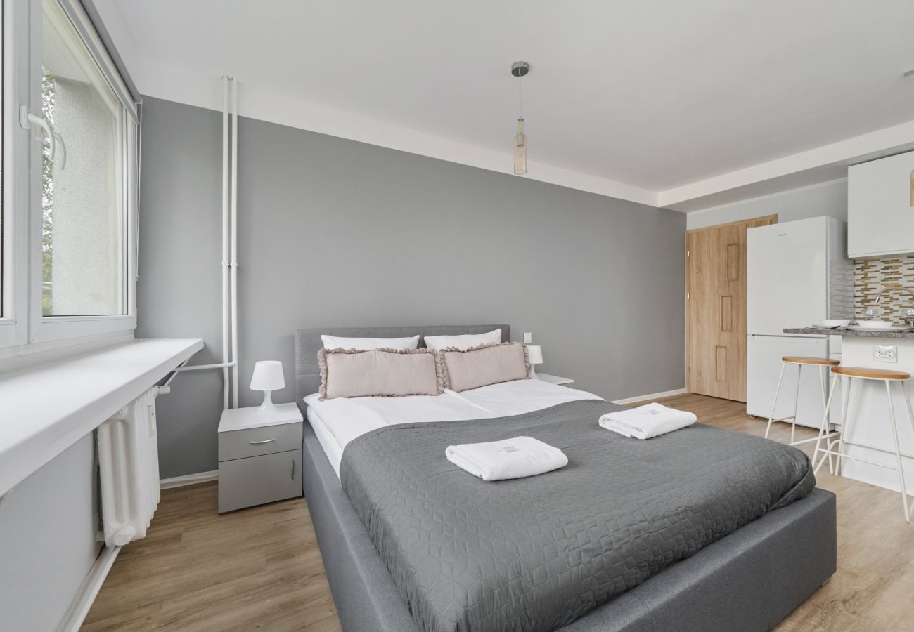 Studio in Wrocław - Chic Studio for 4 Guests only 1 km from Wroclaw Market Square