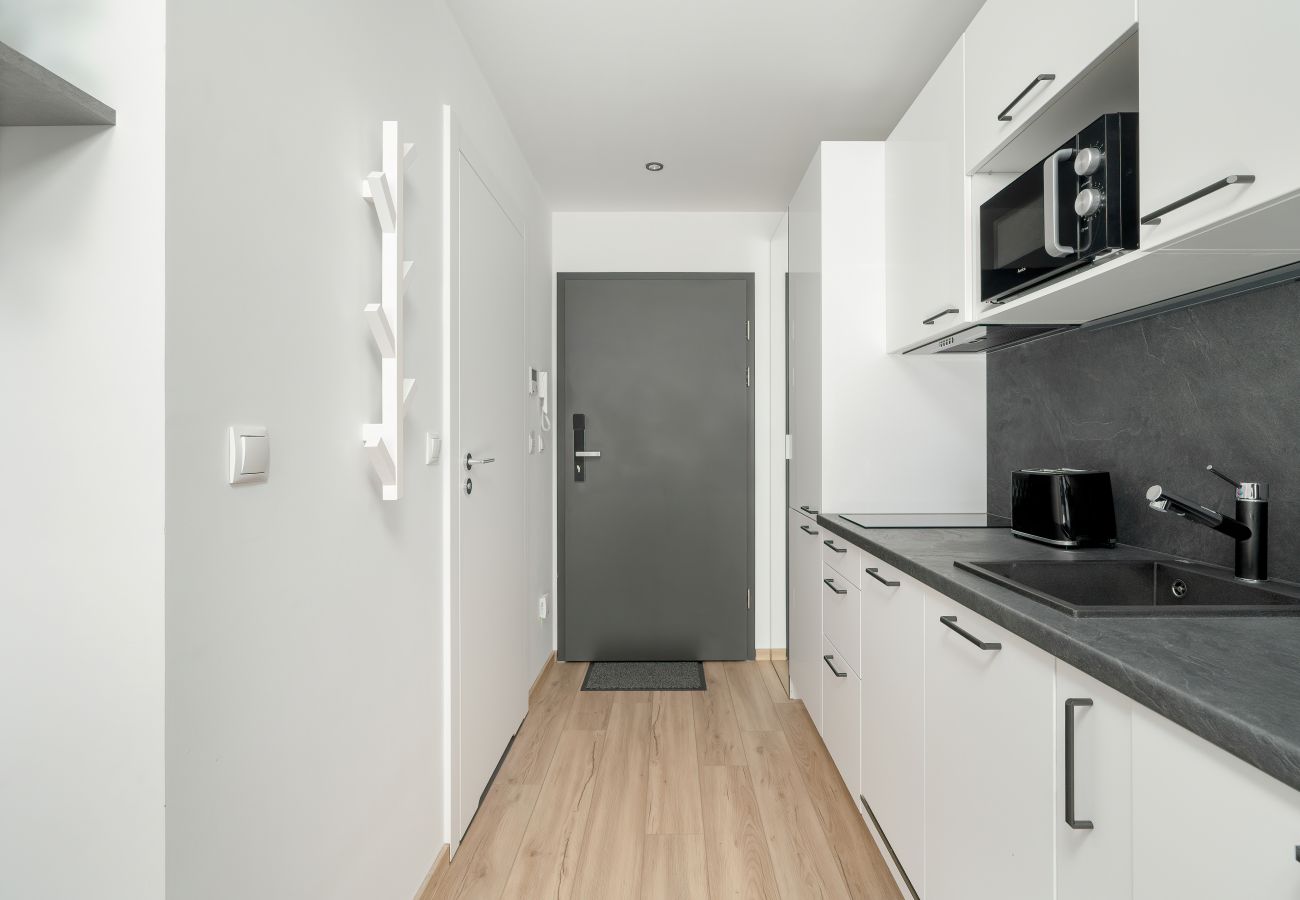 Studio in Poznań - Plac Wolności 6 | Elegant Studio | Kitchenette | Poznań