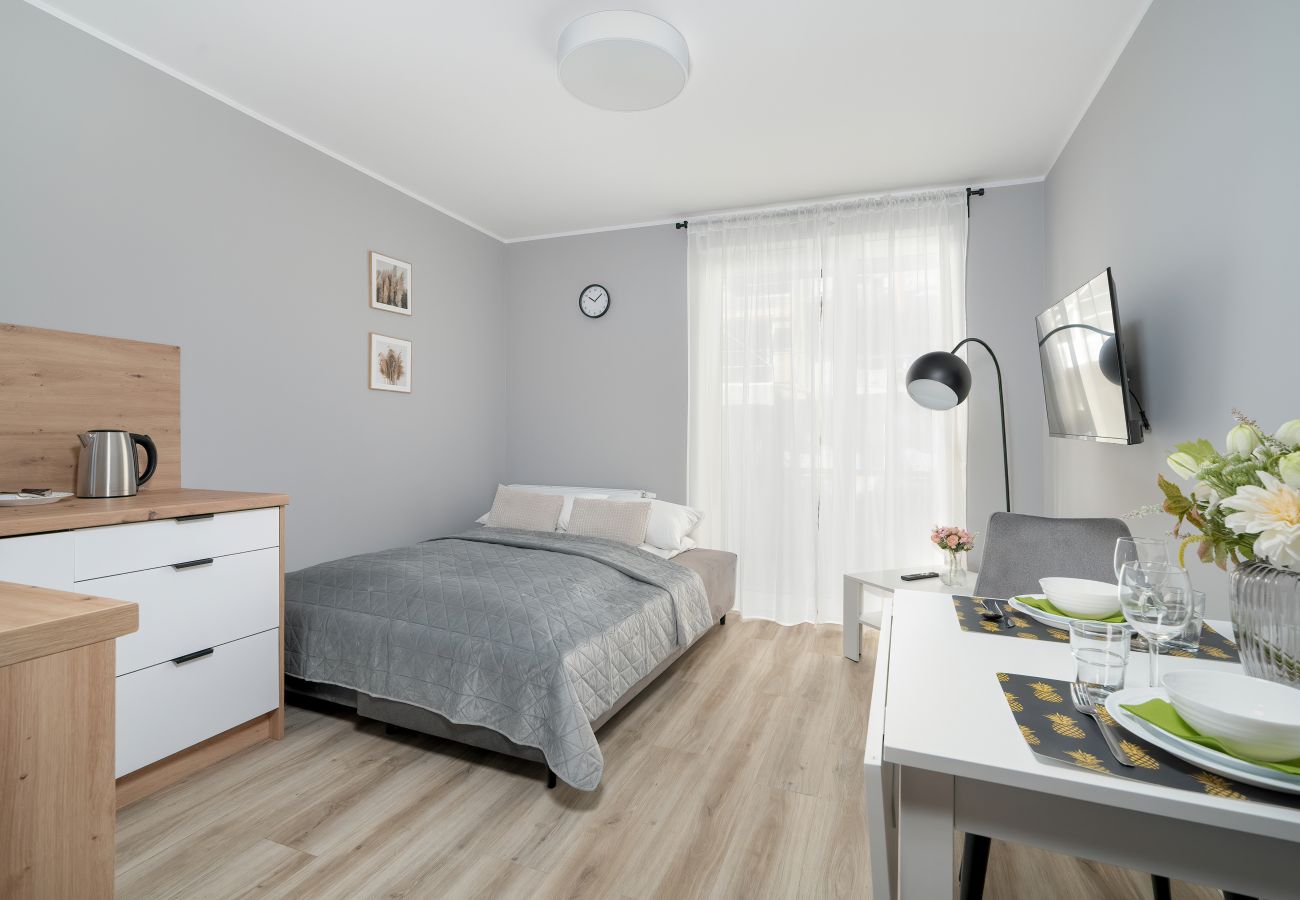 Studio in Poznań - Nadolnik | Terrace, studio, pets allowed | Poznań