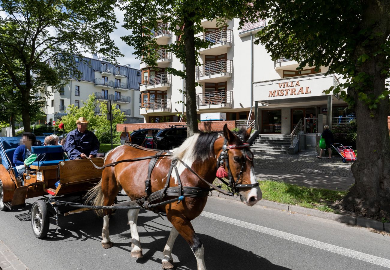  na zewnątrz, budynek, parking, front, wynajem 