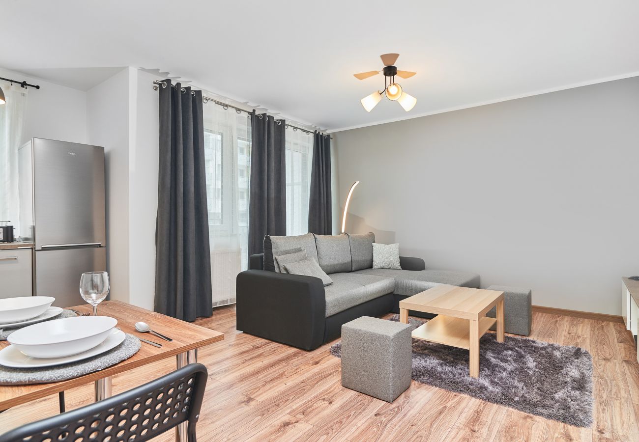 salon, stolik kawowy, telewizor, sofa, jadalnia, aneks kuchenny, apartament, wnętrze, wynajem