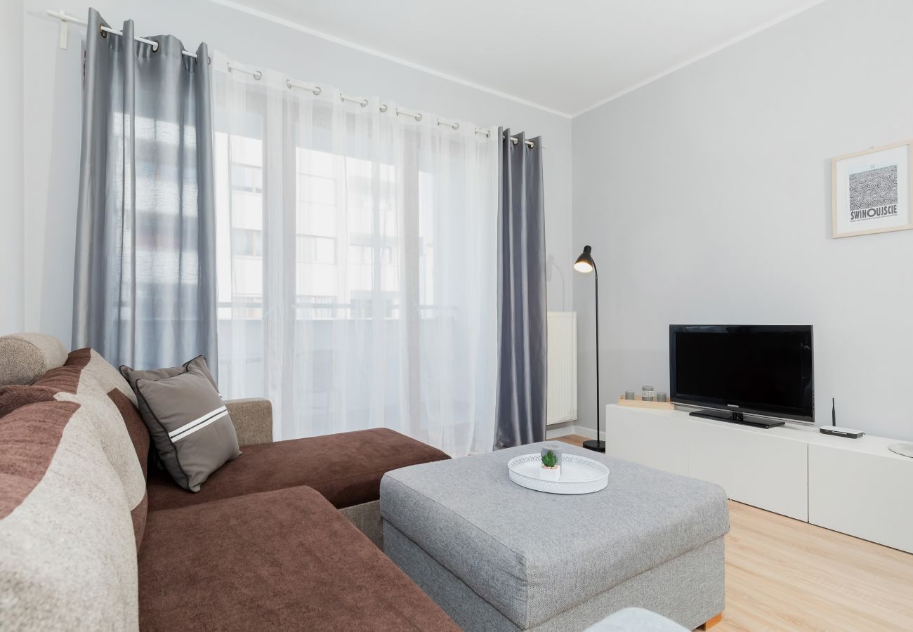 salon, jadalnia, stół, krzesła, aneks kuchenny, sofa, stolik kawowy, telewizor, apartament, wnętrze, wynajem