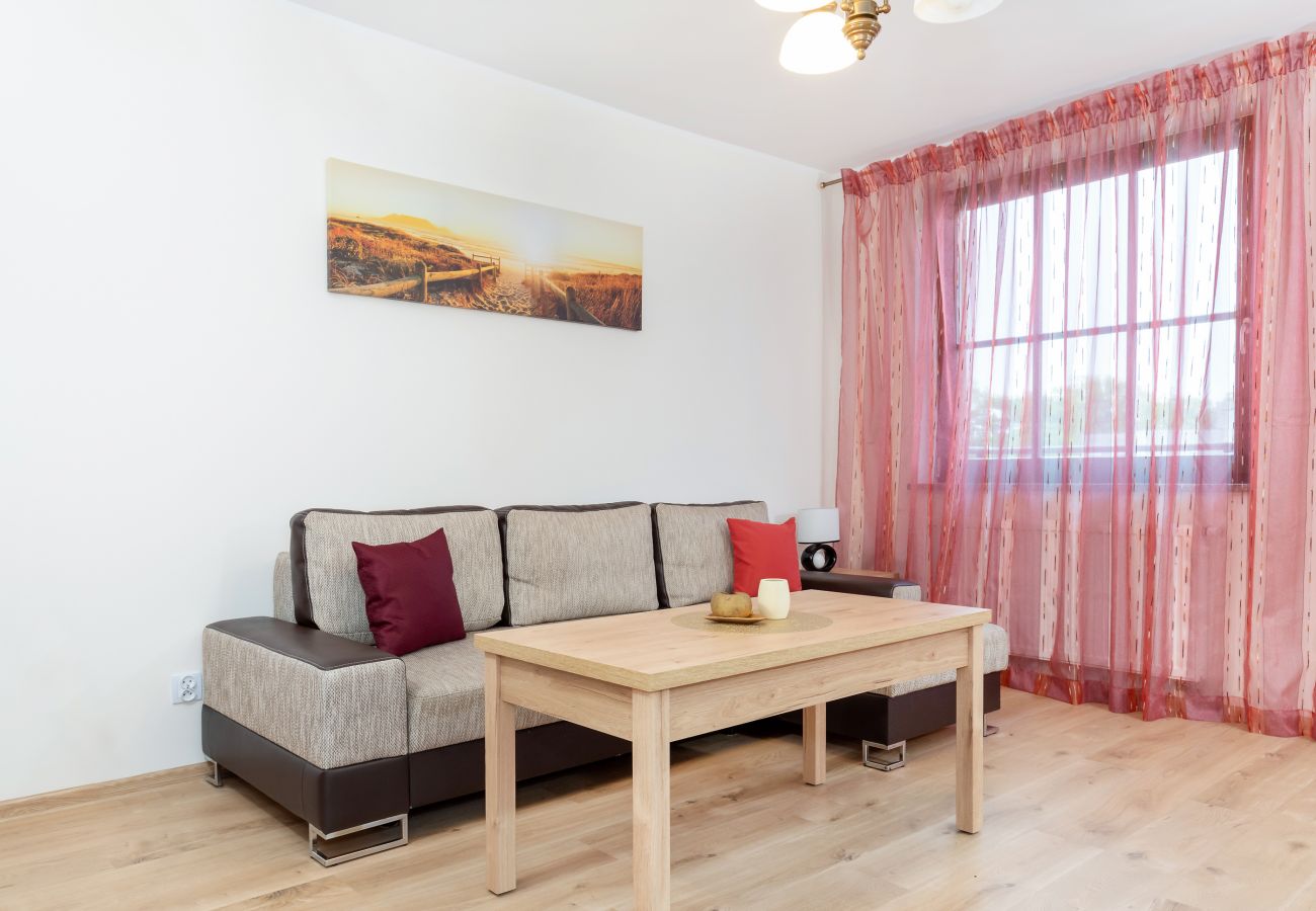 salon, sofa, stolik kawowy, telewizor, szafa, lustro, jadalnia, stół, krzesła, aneks kuchenny, studio-apartament, wnętrze, wynajem