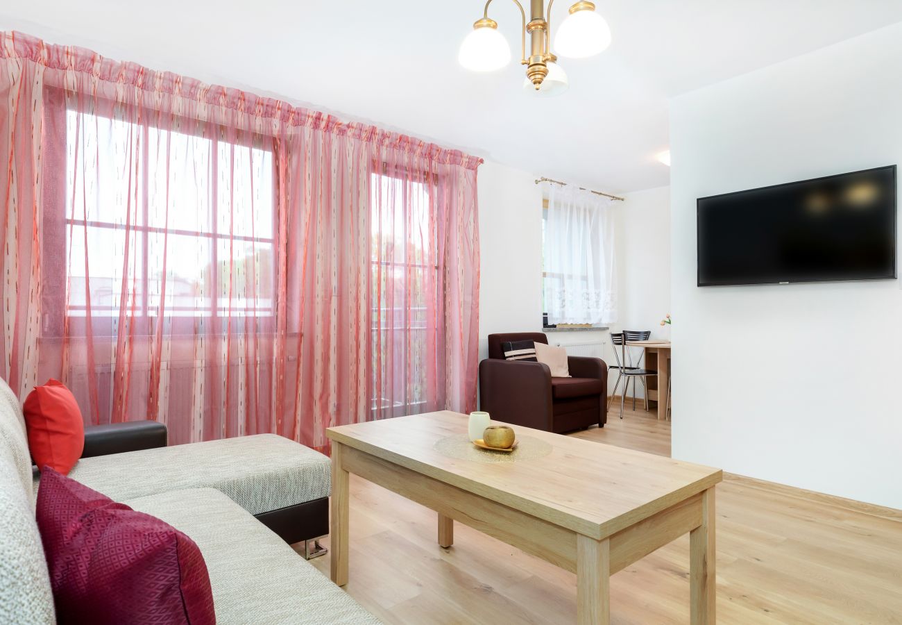 salon, sofa, stolik kawowy, telewizor, szafa, lustro, jadalnia, stół, krzesła, aneks kuchenny, studio-apartament, wnętrze, wynajem