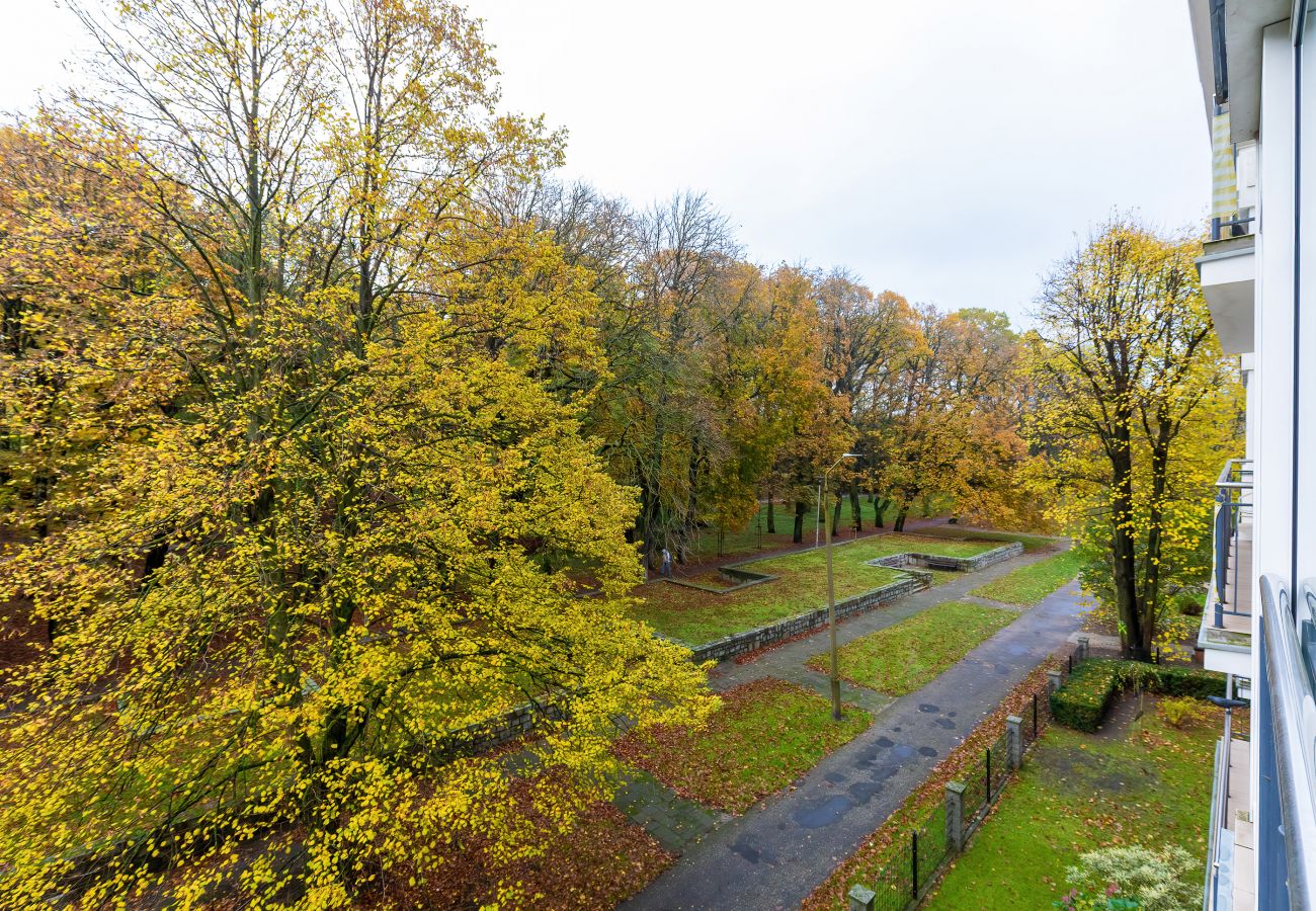 widok, widok z balkonu, widok z mieszkania, widok na park, mieszkanie, na zewnątrz, wynajem